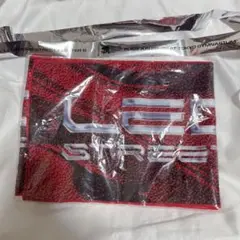 LEGENDUS 頂 入場特典 タオル