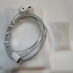 ライトニングイヤホンのサムネイル