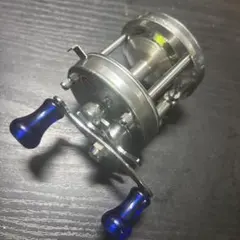 アンバサダー