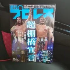 【最新刊】週刊プロレス 11月19日 NO.2383