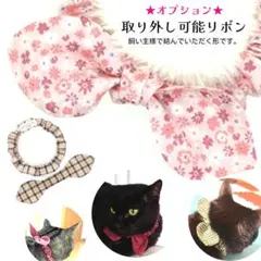 Item thumbnail for item c60ef051-9299-4c08-8362-338b30d1dbf6