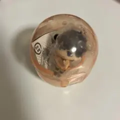 影山飛雄　こんにち輪