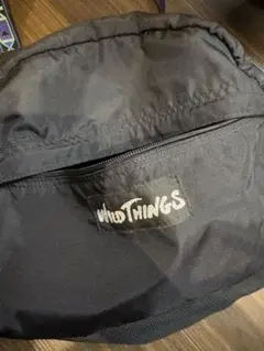 希少　WILD THINGS ブラックボディバッグ　90s〜00s チロリアン