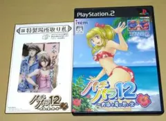 【特製場所取り札付き】パチパラ12~大海と夏の思い出~ PS2