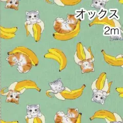 2m 猫とバナナ グリーン オックス