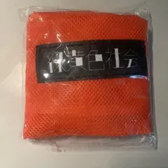 (新品未使用)緑黄色社会　オレンジ メッシュ バッグ