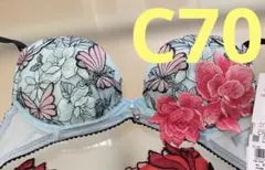 新品・タグ付き☆ワコール☆サルート☆８３G・ホリック☆ＴＵ☆Ｄ７０＆ショーツＭ 2025年最新】サルート 83の人気アイテム - メルカリ