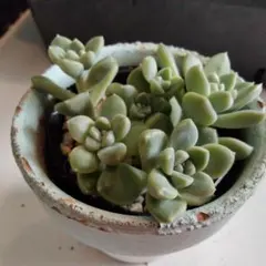 ばん様 リクエスト 2点 まとめ商品