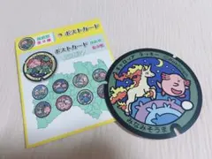 ポケモン ポケットモンスター ポケふた コイキング 新潟 ポストカード