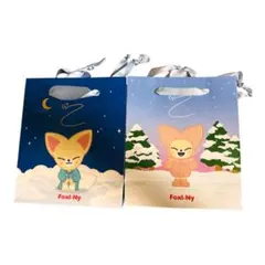 SKZOO ペーパーバッグ 夏冬セット Foxl.Ny