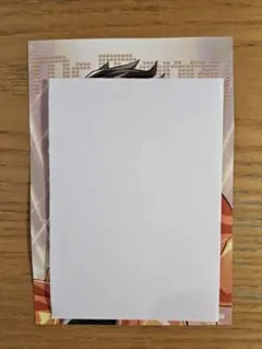 ウォーターチャレンジ　カラフルジャケット　ブロマイド　Mr.マネー