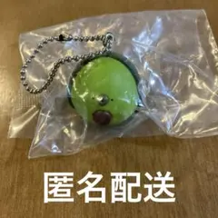 ころころ愉快な仲間たち アボカド