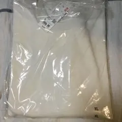 Item thumbnail for item 58642419-b2cb-40ec-994a-fcc4617f8807