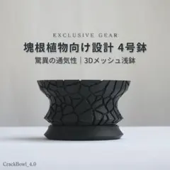 【4号浅鉢】CrackBowl アガベ・塊根植物向け 浅鉢 高通気鉢 受け皿付きのサムネイル