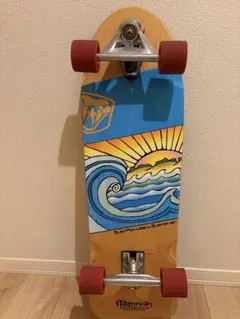 PENNY ペニー スケートボード andy davis 22インチ 美品 - メルカリ