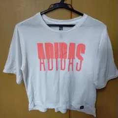 Item thumbnail for item c034dca3-1dcb-419a-898a-a5b05973e648