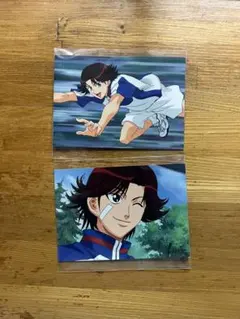 テニプリ　ブロマイド　菊丸英二　2種セット