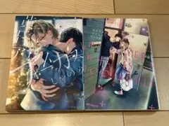じゃのめ　BLコミック２冊セット 大人すぎるマイラバー/黄昏アウトフォーカス