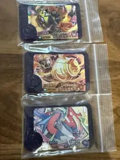 ポケモンフレンダ　ボーマンダ　グレンアルマ　カプコケコ