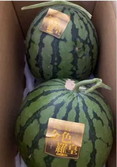 2025年最新】すいかの人気アイテム - メルカリ