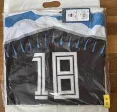 Item thumbnail for item 95a3306a-e0ea-4366-8f1e-a3c3c5c9038c