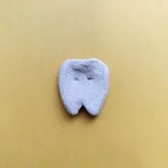 歯君