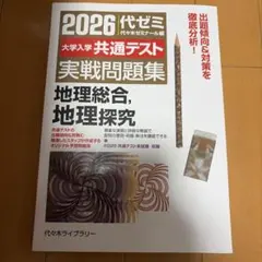 2026大学入学共通テスト実戦問題集 地理総合、地理探究