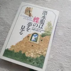 美品.潜水服は蝶の夢を見る