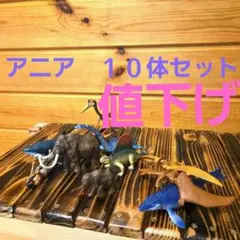 アニア　１０体　まとめ売りセット