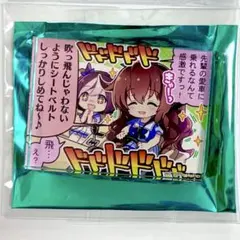 ウマ娘　アクリルマグネット　マルゼンスキー
