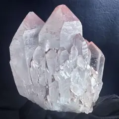 爆アレレコードキーパー超綺麗マダガスカル産パイナップルピンククラスターA1171