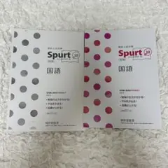 Spurt 10 国語 学習テキスト
