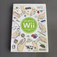 はじめてのWii