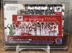 2026年最新】ルヴァンカップ サンフレッチェの人気アイテム - メルカリ