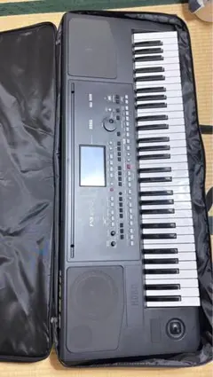 2026年最新】korg pa300の人気アイテム - メルカリ