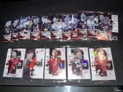 バレーボール 日本代表 トレーディングカード 16枚セット