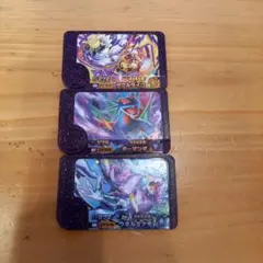 ポケモンフレンダ　スーパートレジャー　タケルライコ　ボーマンダ　ウネルミナモ