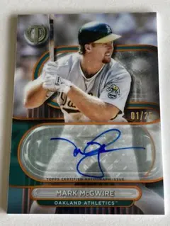 2025年最新】マグワイア サインの人気アイテム - メルカリ