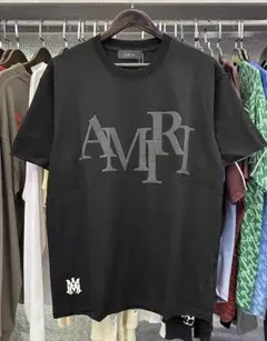 極美品】AMIRI アミリ 立体サガラ刺繍 ロゴ Tシャツ [Lサイズ] - メルカリ