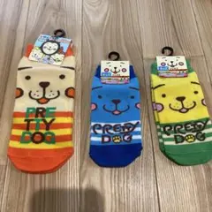みやざき犬 キッズソックス 3足セット　大人用と子供用