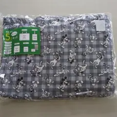 新品　ミッキー 5点セット 手提げ袋　靴袋