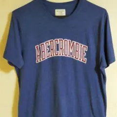 アバクロAbercrombie&Fitch Tシャツ メンズサイズL