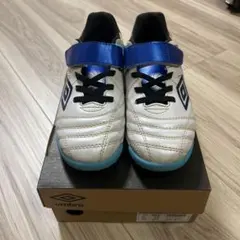 アクセレイター