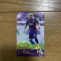 菅大輝 サンフレッチェ広島 ルヴァンカード