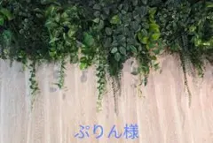 ぷりん様専用