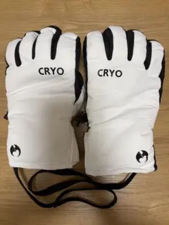 Item thumbnail for item 4b61d2b1-0334-4e42-bfbe-1541fa5a32cb