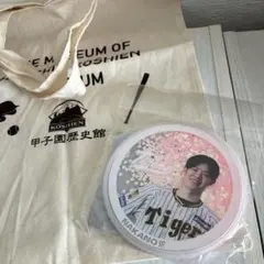 Item thumbnail for item e6638a5b-2d20-426e-a3f6-049b1ffa506e