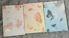 Item thumbnail for item 3458faaa-3995-4fc8-81ae-cf232ce2db23