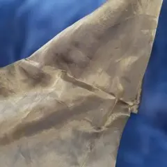 Item thumbnail for item b57e63c6-c934-401c-b862-feb575a70086