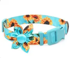 Item thumbnail for item 2eb32010-2292-4872-8cfb-8b542fb7bb67